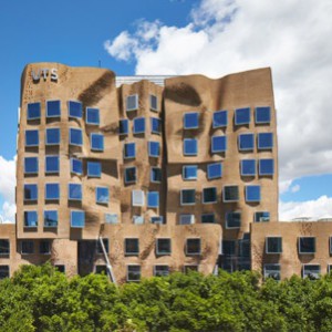 Permalink to: Frank Gehry's "Paper Bag"