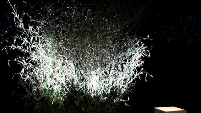 Kimchi-and-Chips-Lit-Tree-Image-7-640x360